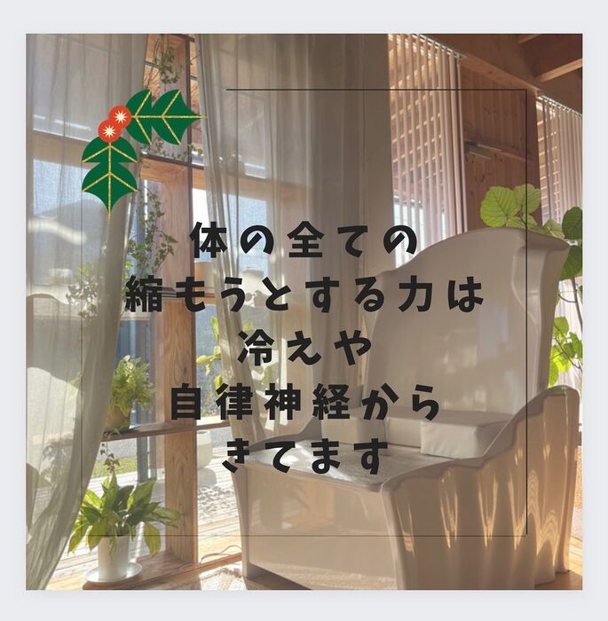 画像303